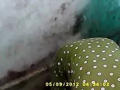 ドイツ ・ ソウ