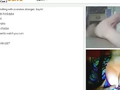 イスラム教徒の毛深い hijabi