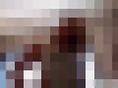 腹毛猫とレースのブラジャー