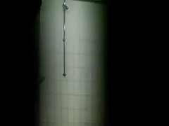 フランスのブロンドとブルネットの間の選択