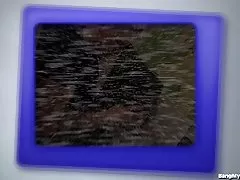 毛むくじゃらの猫