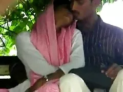 非常に毛むくじゃらの成熟した猫を食べる