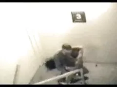 フランス菊の 81 分