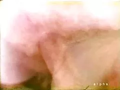 古典的なループ 20